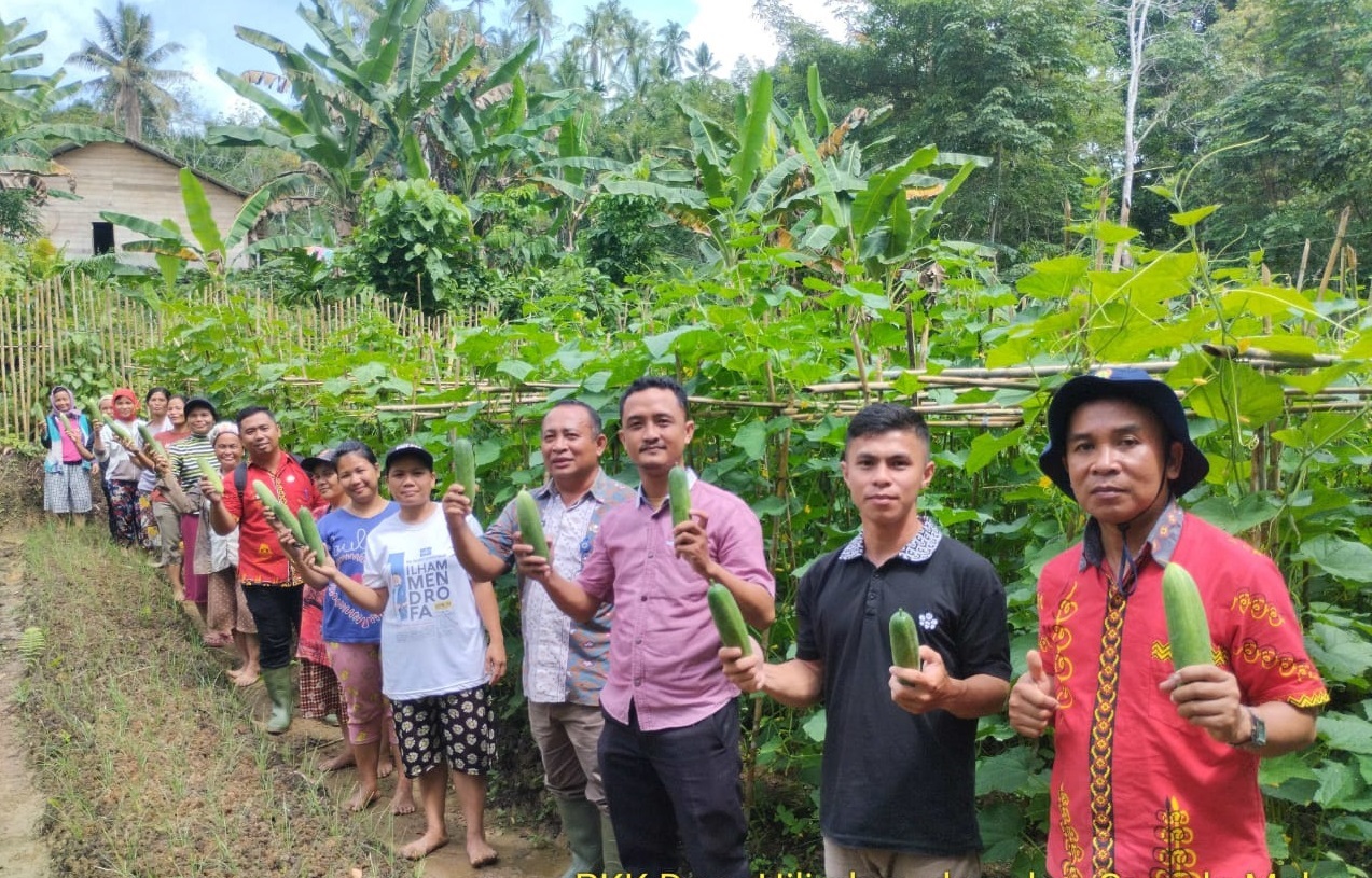 Bidang Konsumsi Keamanan Pangan dan Distribusi Pangan
